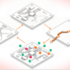 What Reinforcement Learning Actually Learns When Routing a PCB